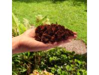 Zdjęcie: Czipsy kokosowe COCO chips 20L BIOVITA