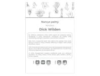Zdjęcie: Narcyz Dick Wilden żółty 3 sztuki W.LEGUTKO