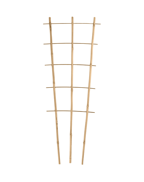 Zdjęcie: Podpora kwiatowa bambusowa 120 cm TIN TOURS