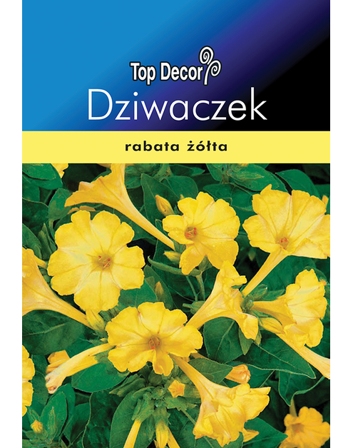 Zdjęcie: Dziwaczek TOP DECOR