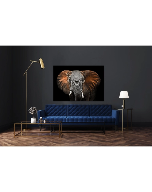Zdjęcie: Obraz Canvas Silver1 85x113x2,8 cm Ex512 Red Elephant STYLER