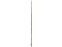 Zdjęcie: Tyczka bambusowa naturalna Bamboo fi6-8 mm x 0,6 m, naturalny NORTENE