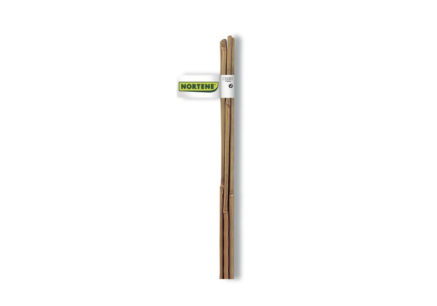 Zdjęcie: Tyczka bambusowa naturalna Bamboo fi6-8 mm x 0,6 m, naturalny NORTENE