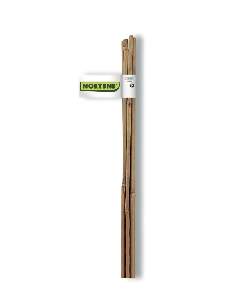 Zdjęcie: Tyczka bambusowa naturalna Bamboo fi6-8 mm x 0,6 m, naturalny NORTENE