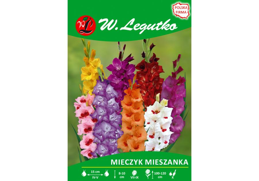 Zdjęcie: Mieczyk mieszanka seria tradycyjna W.LEGUTKO