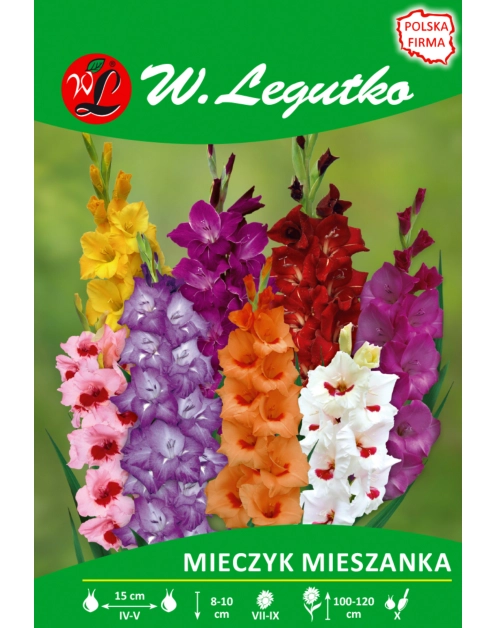 Zdjęcie: Mieczyk mieszanka seria tradycyjna W.LEGUTKO