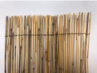 Zdjęcie: Mata trzcinowa Reedcane 1,5x5 m, naturalny NORTENE