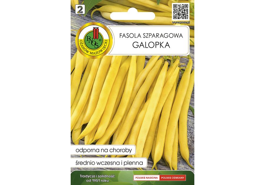 Zdjęcie: Fasola szparagowa żółta Karłowa Galopka 20 g PNOS