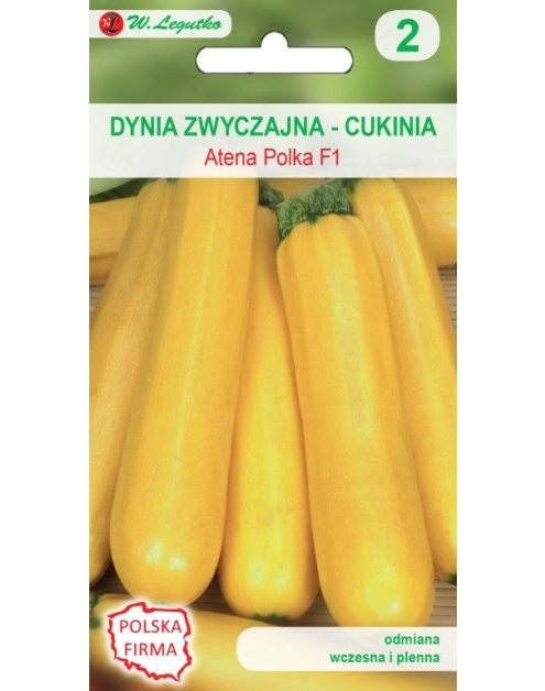 Zdjęcie: Dynia zwyczajna Cukinia Atena Polka F1 nasiona tradycyjne 2 g W. LEGUTKO