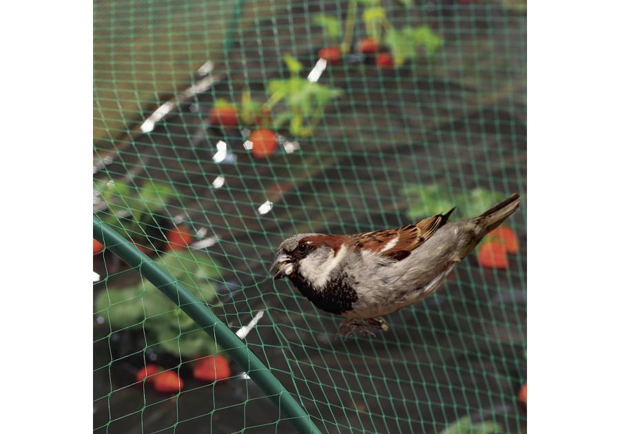 Zdjęcie: Siatka na ptaki Birdnet 4 x 5 m, jasny zielony NORTENE