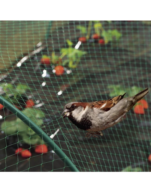 Zdjęcie: Siatka na ptaki Birdnet 4 x 5 m, jasny zielony NORTENE