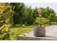 Zdjęcie: Donica Koma waza 350, antracyt LAMELA