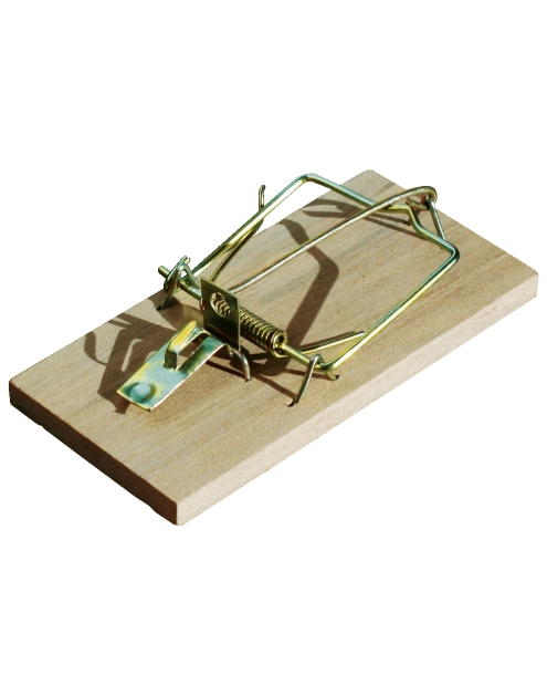 Zdjęcie: Łapka na myszy drewniana BROS