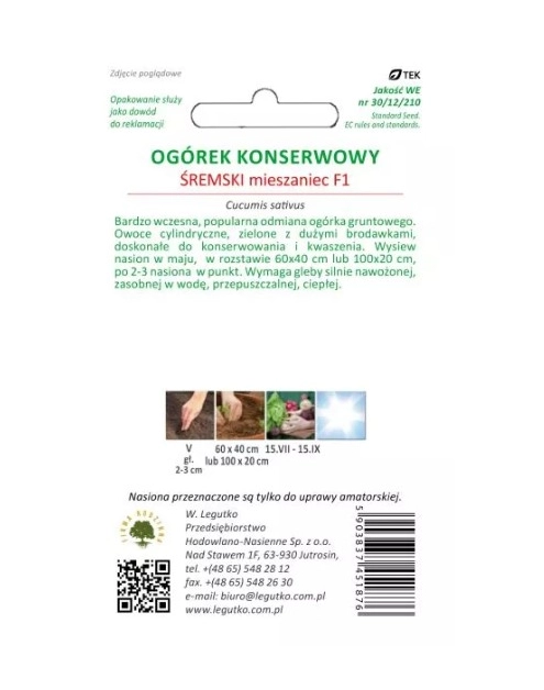 Zdjęcie: Ogórek Śremski F1 2 g W.LEGUTKO