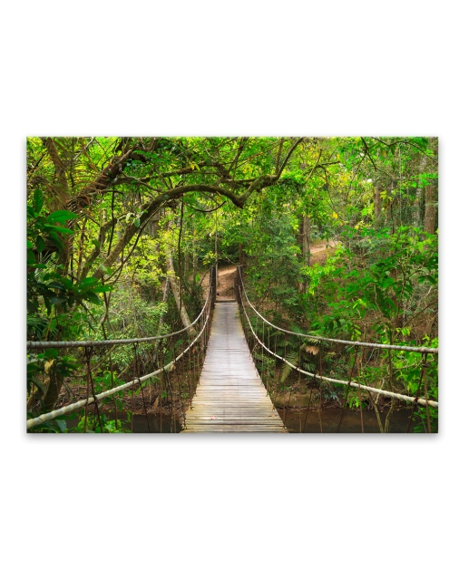 Zdjęcie: Obraz Glasspik Nature  80x120 cm Ex370 Forest Bridge STYLER