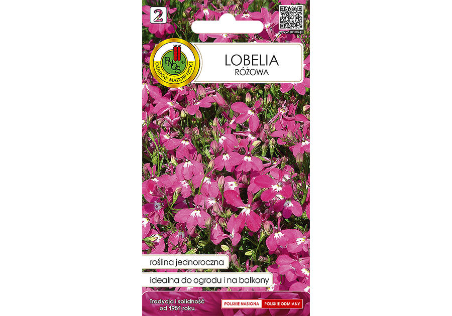 Zdjęcie: Lobelia różowa 0,1 g PNOS