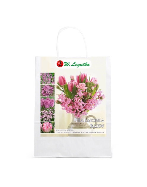 Zdjęcie: Kompozycja różowa W.LEGUTKO