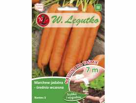 Marchew jadalna Nantes 3 taśma 7 m W.LEGUTKO
