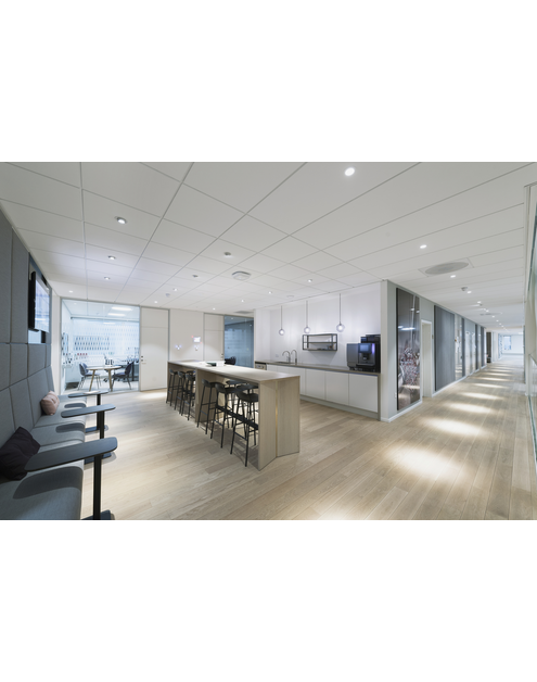 Zdjęcie: Płyta sufitowa Blanka E15 1200x600x20 mm akustyczny sufit podwieszany ROCKFON