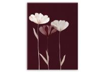 Zdjęcie: Obraz Glasspik Flowers 50x70 cm Gl303 Maroon Glam STYLER