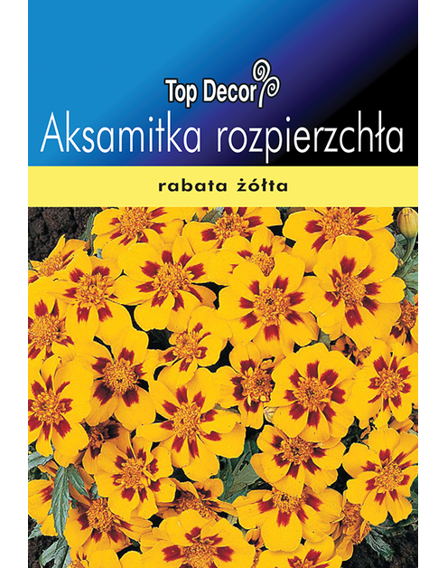 Zdjęcie: Aksamitka rozpierzchła TOP DECOR