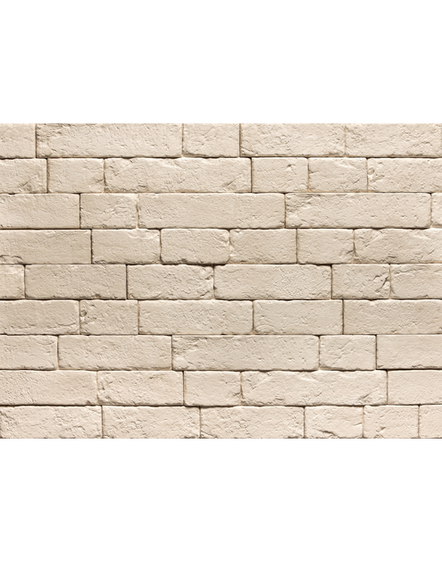 Zdjęcie: Płytki cegłopodobne Brickal 1 z fugą STEGU