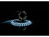 Zdjęcie: Taśma LED 50 m premium 12 V dioda 28x35 IP20 4,8 W/m zimna biała POLGAR