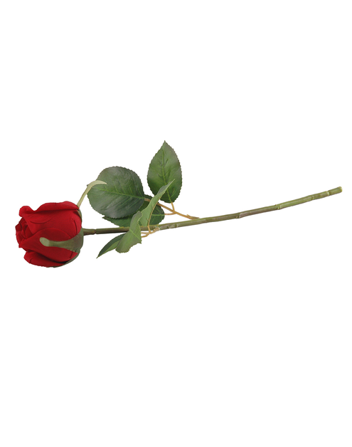 Zdjęcie: Róża pojedyncza CV14869-9 TOP GIFTS