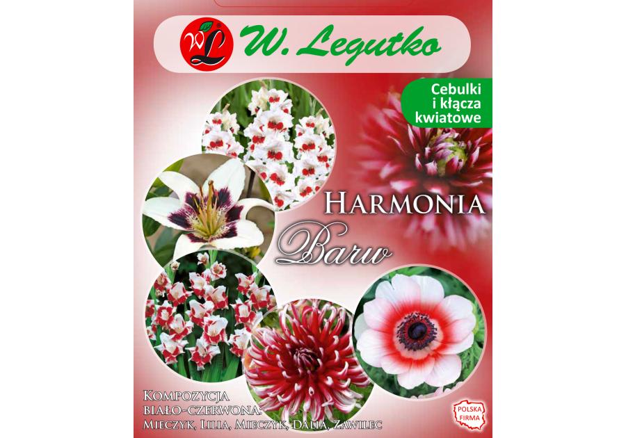 Zdjęcie: Kompozycja biało-czerwona Harmonia Barw Wiosna W.LEGUTKO