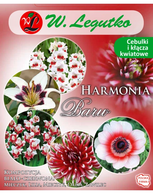 Zdjęcie: Kompozycja biało-czerwona Harmonia Barw Wiosna W.LEGUTKO