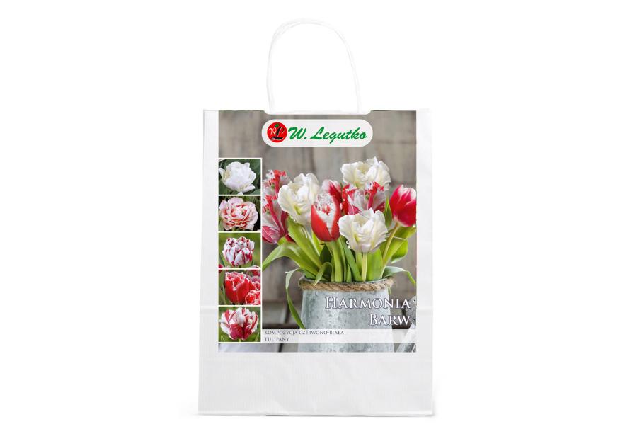 Zdjęcie: Kompozycja czerwono-biała W.LEGUTKO