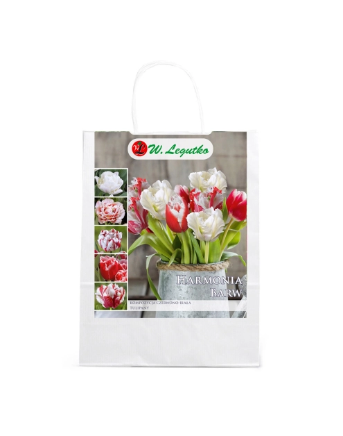 Zdjęcie: Kompozycja czerwono-biała W.LEGUTKO