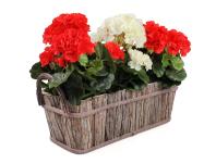 Zdjęcie: Osłonka drewniana GD11038 TIN TOURS