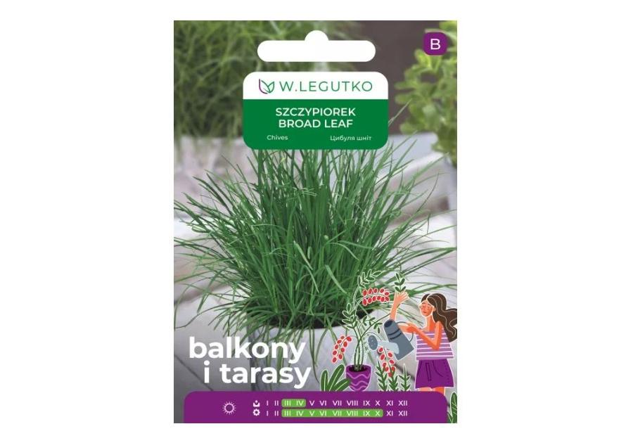 Zdjęcie: Szczypiorek Broad leaf 2 g na balkon i taras W.LEGUTKO