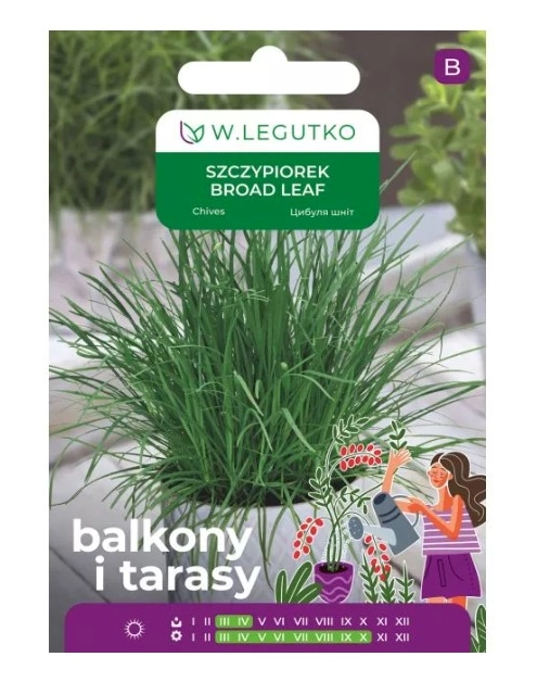 Zdjęcie: Szczypiorek Broad leaf 2 g na balkon i taras W.LEGUTKO