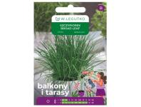 Zdjęcie: Szczypiorek Broad leaf 2 g na balkon i taras W.LEGUTKO