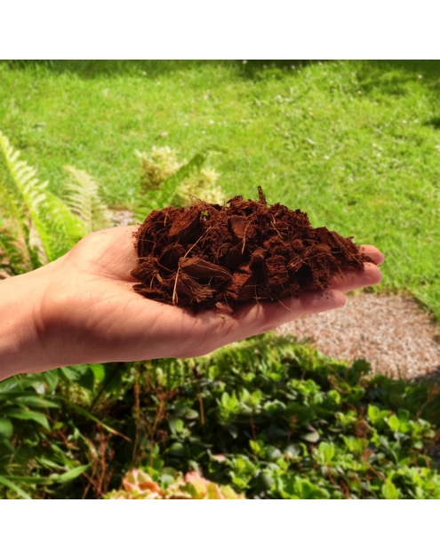 Zdjęcie: Czipsy kokosowe COCO chips 5L BIOVITA