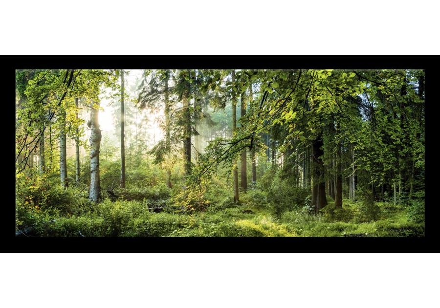 Zdjęcie: Obraz Glasspik Nature 50x125 cm Gl319 Fores STYLER