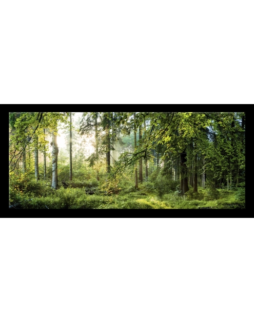 Zdjęcie: Obraz Glasspik Nature 50x125 cm Gl319 Fores STYLER