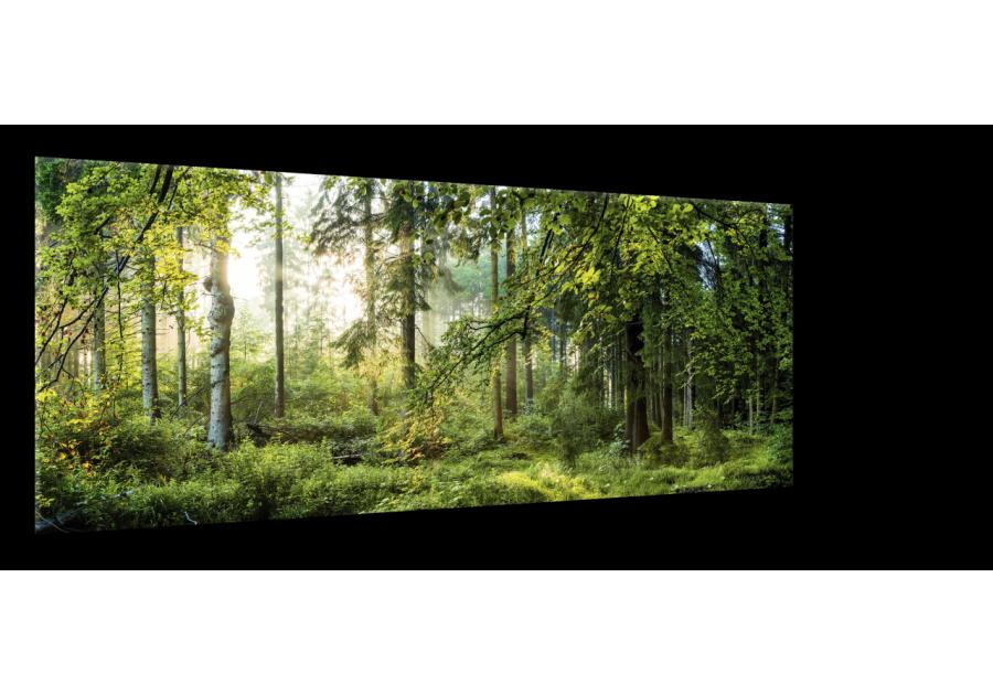 Zdjęcie: Obraz Glasspik Nature 50x125 cm Gl319 Fores STYLER