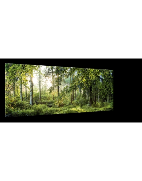 Zdjęcie: Obraz Glasspik Nature 50x125 cm Gl319 Fores STYLER