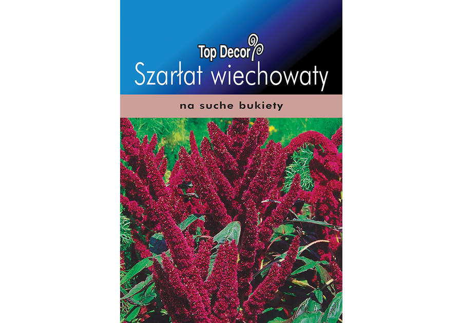 Zdjęcie: Szarłat wiechowaty TOP DECOR