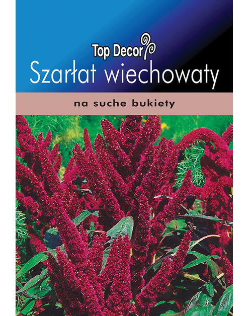 Zdjęcie: Szarłat wiechowaty TOP DECOR