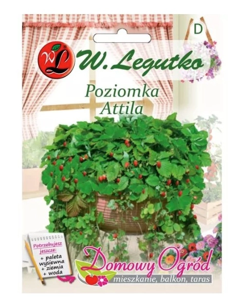 Zdjęcie: Poziomka Attila 0,1 g na balkon i taras W.LEGUTKO