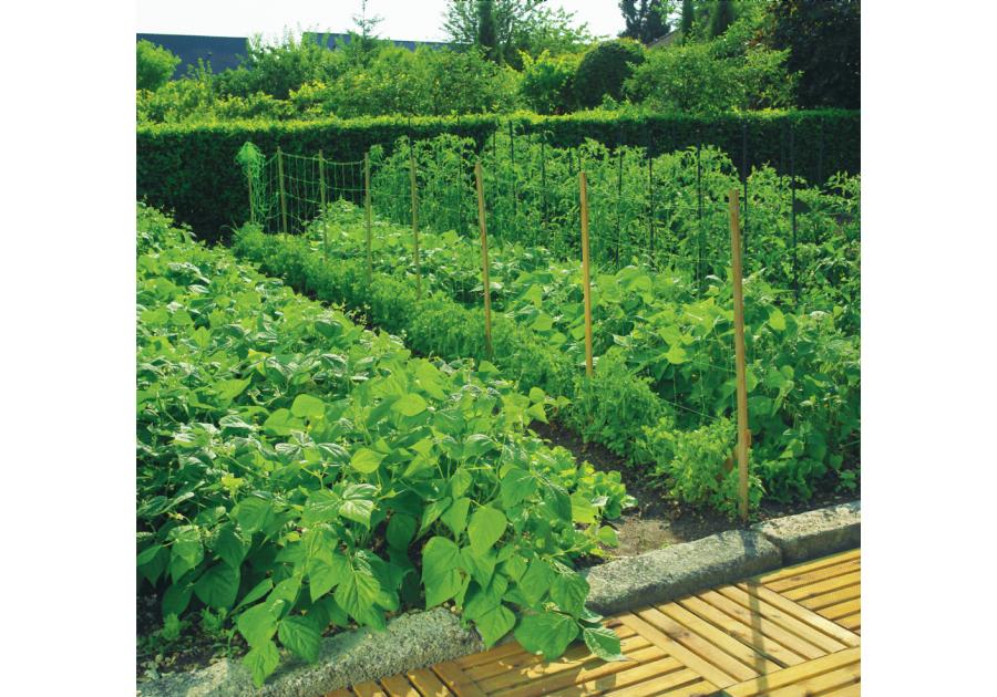Zdjęcie: Siatka na pnącza Trellinet 1,7 x 20 m, zielona NORTENE