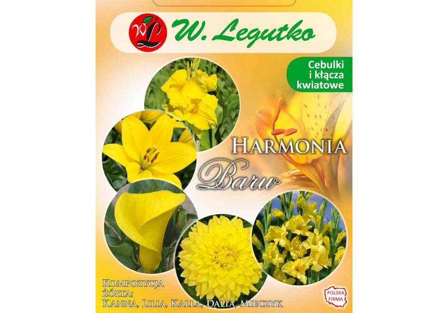 Zdjęcie: Kompozycja żółta Harmonia Barw Wiosna W.LEGUTKO
