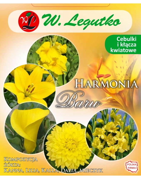 Zdjęcie: Kompozycja żółta Harmonia Barw Wiosna W.LEGUTKO