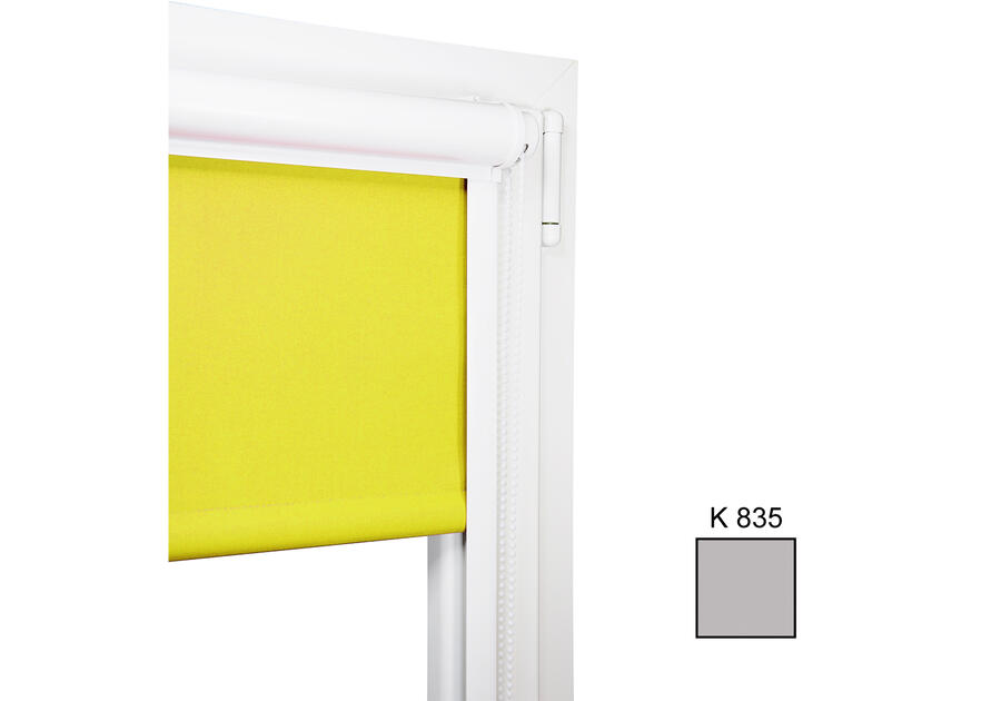 Zdjęcie: Roleta mini w kasetce 95x150 cm K835 KARWEL