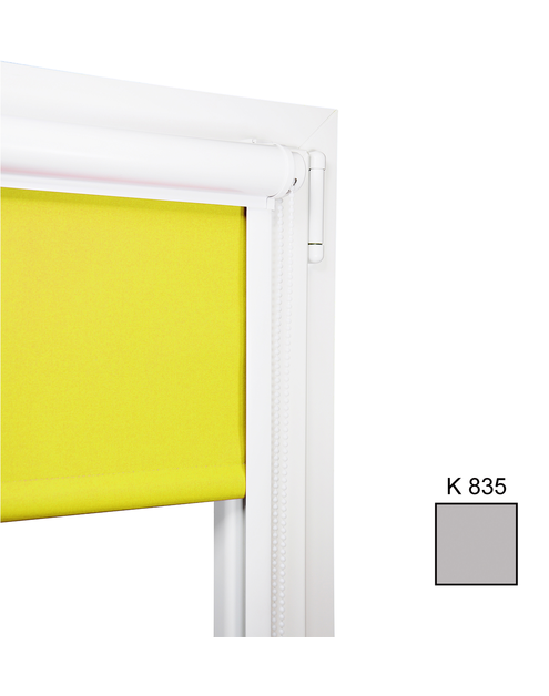 Zdjęcie: Roleta mini w kasetce 95x150 cm K835 KARWEL