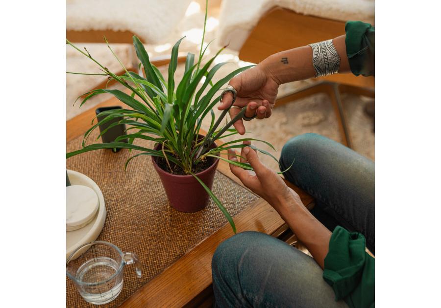 Zdjęcie: Zestaw Plant Care do pielęgnacji roślin 3 sztuki FISKARS